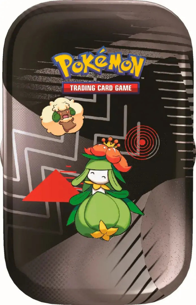 Pokémon Trading Card Game packaging with characters and maze design
