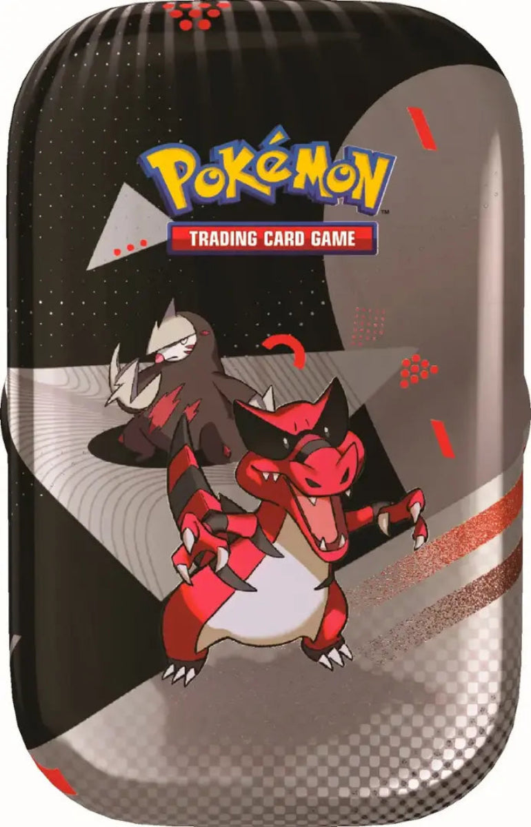 Pokémon Trading Card Game holder with Pokémon characters on a black and gray background
