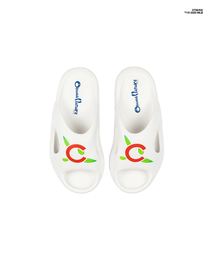 Takashi Murakami 2025 Chicago Cubs Ohana Surippa Slides 9 Tokyo IN HAND